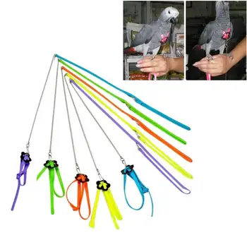 Bird Chest Strap Traction Rope Bird Harness Bird Outing Supplies Small Pet Adjustable Traction Belt Bite Resistant
Bird Chest Strap Traction Rope Bird Harness Bird Outing Supplies Small Pet Adjustable Traction Belt Bite Resistant