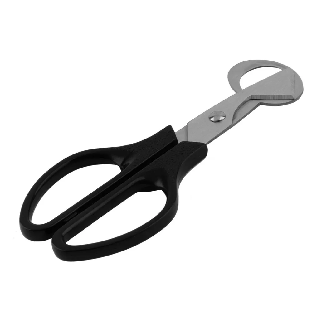 Quail Egg shells Scissors Cracker Opener Cigar Cutter Stainless Steel Blade Tool Household Tool Scissors
Quail Egg shells Scissors Cracker Opener Cigar Cutter Stainless Steel Blade Tool Household Tool Scissors