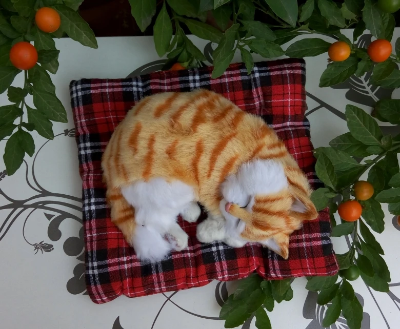 about 19x15cm yellow grains sleeping cat model, polyethylene&furs handicraft Figurines home decoration toy gift a2773
about 19x15cm yellow grains sleeping cat model, polyethylene&furs handicraft Figurines home decoration toy gift a2773