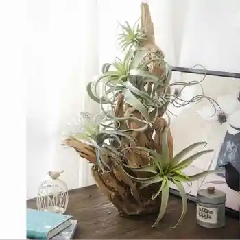 1PC Wedding Party Nodic Home Hotel Resturant Decoration Artificial Air Grass Plants Fake Plastic Plant Leaves Vine Rattan
1PC Wedding Party Nodic Home Hotel Resturant Decoration Artificial Air Grass Plants Fake Plastic Plant Leaves Vine Rattan