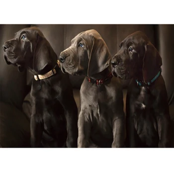 Full Square / Round Drill 5D DIY Diamond Painting Great Dane Diamond Embroidery dog Cross Stitch Mosaic Rhinestone Decor FG745
Full Square / Round Drill 5D DIY Diamond Painting Great Dane Diamond Embroidery dog Cross Stitch Mosaic Rhinestone Decor FG745