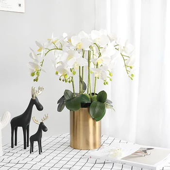 7head/Bouquet Artificial Silk Phalaenopsis Butterfly Orchid Leaf Pot Flower Arrangement For Wedding Birthday Party Decoration
7head/Bouquet Artificial Silk Phalaenopsis Butterfly Orchid Leaf Pot Flower Arrangement For Wedding Birthday Party Decoration