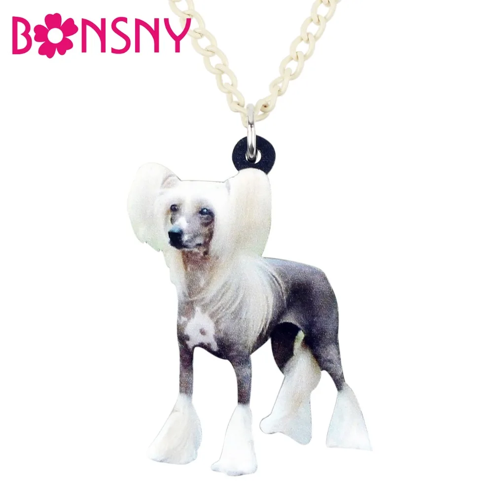 Bonsny Statement Acrylic Chinese Crested Dog Necklace Pendant Chain Choker Novelty Animal Jewelry For Women Girls Accessory Gift
Bonsny Statement Acrylic Chinese Crested Dog Necklace Pendant Chain Choker Novelty Animal Jewelry For Women Girls Accessory Gift