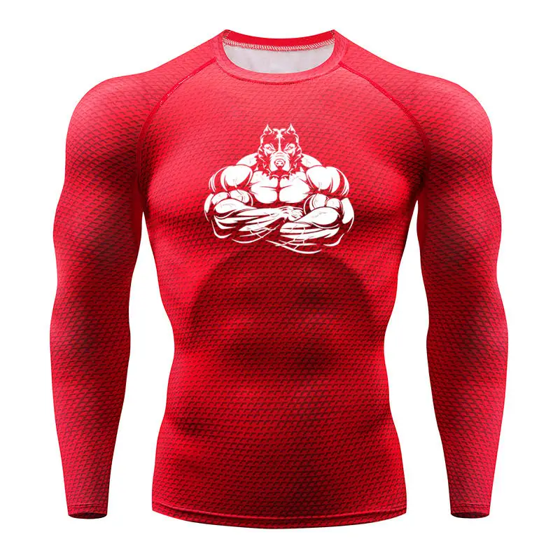 Gyms Long-sleeved T-shirt sports men's running T-shirt fitness sportswear sports Brand men's compression sportswear Rashgard
Gyms Long-sleeved T-shirt sports men's running T-shirt fitness sportswear sports Brand men's compression sportswear Rashgard