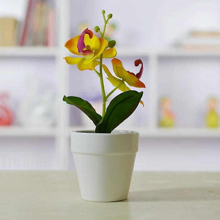 Cheap foreign trade high-grade emulation silk flower simulation flowers fresh four-color optional ceramic bonsai TC801
Cheap foreign trade high-grade emulation silk flower simulation flowers fresh four-color optional ceramic bonsai TC801