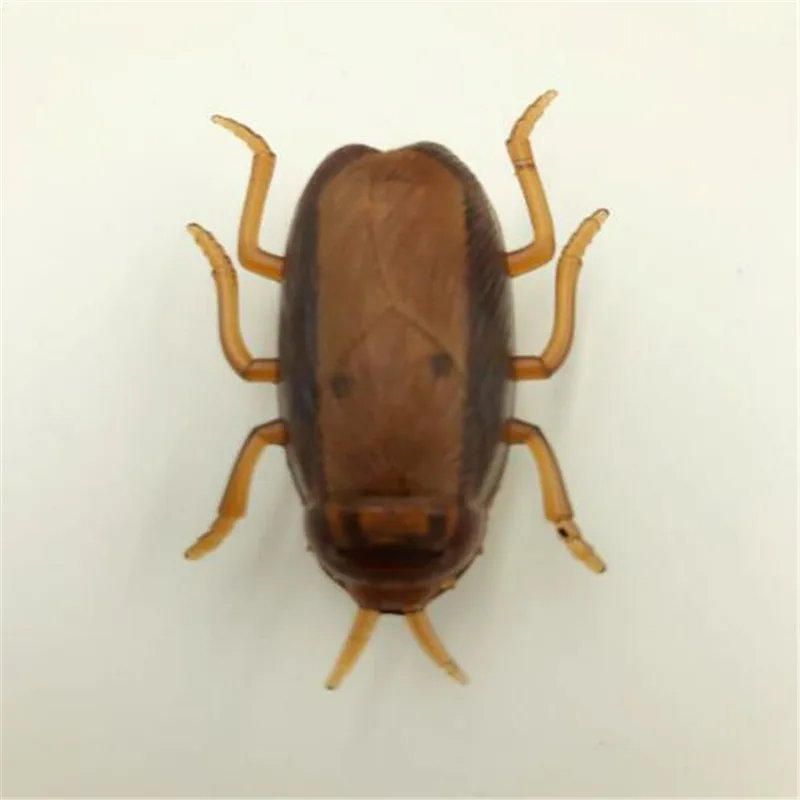 Dog Cat Toy interactive electronic Cockroach Cat intelligence training Toy Fun Cat Toy interactive training pet products
Dog Cat Toy interactive electronic Cockroach Cat intelligence training Toy Fun Cat Toy interactive training pet products