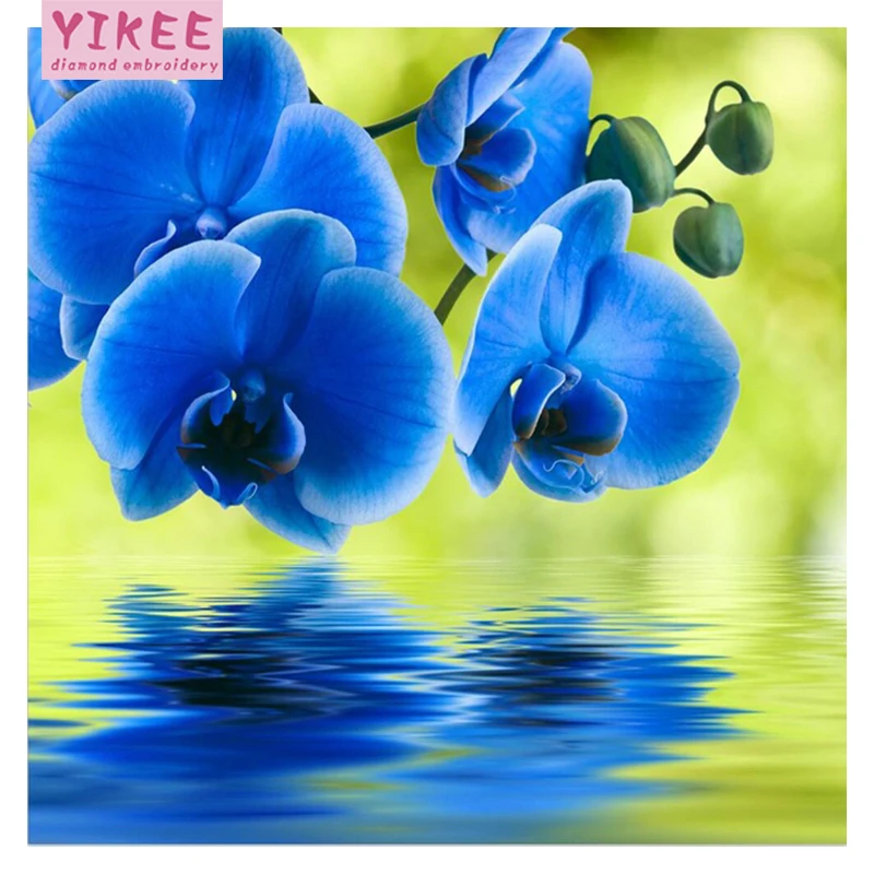 H564 Diamond Embroidery flower,diamond painting full square,diy,5d diamond embroidery orchid flower
H564 Diamond Embroidery flower,diamond painting full square,diy,5d diamond embroidery orchid flower