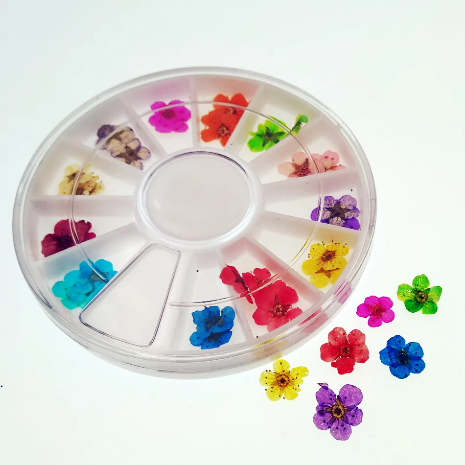 1 box with 36pieces mini Pressed flowers Narcissus natural Dried flowers glass globe vial filler charms jewelry findings DIY
1 box with 36pieces mini Pressed flowers Narcissus natural Dried flowers glass globe vial filler charms jewelry findings DIY