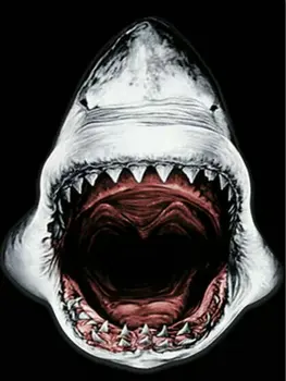 Full square / round drill fierce shark 5d diamond painting cross stitch 3D rhinestone home decoration painting crafts gift
Full square / round drill fierce shark 5d diamond painting cross stitch 3D rhinestone home decoration painting crafts gift