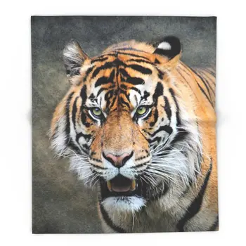 Bengal Tiger 88" x 104" Blanket Throw on Sofa Bed Plane Plaids Solid Bedspreads Home Textile
Bengal Tiger 88" x 104" Blanket Throw on Sofa Bed Plane Plaids Solid Bedspreads Home Textile