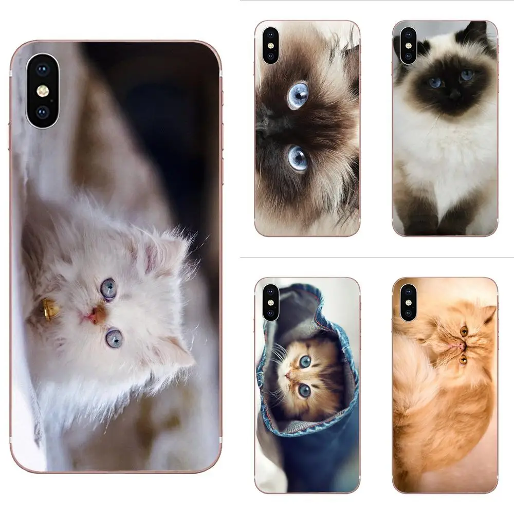 Himalayan Cat Kitten For Galaxy Alpha Note 3 4 10 A10 A20 A20E A30 A40 A50 A60 A70 A80 A90 M10 M20 M30 M40 Cute Phone Cases
Himalayan Cat Kitten For Galaxy Alpha Note 3 4 10 A10 A20 A20E A30 A40 A50 A60 A70 A80 A90 M10 M20 M30 M40 Cute Phone Cases