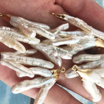 2pcs/lot DIY Freshwater Pearl Unique Pendant Characteristics Chicken Claw Shape Pendant Jewelry Parts 2019
2pcs/lot DIY Freshwater Pearl Unique Pendant Characteristics Chicken Claw Shape Pendant Jewelry Parts 2019