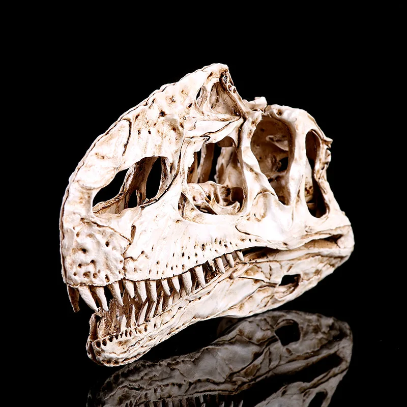 Dinosaur Monolophosaurus Skull Model Fashion Men Biker Punk Creative action figure toys Skeleton collection Bedroom ornaments
Dinosaur Monolophosaurus Skull Model Fashion Men Biker Punk Creative action figure toys Skeleton collection Bedroom ornaments