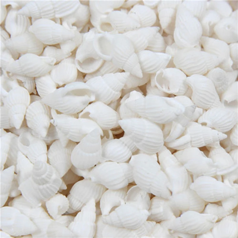 100PCS Natural Conch Shells Aquarium Decoration Home Decor Natural Sea Beach Shell Conch Seashells For DIY Crafts
100PCS Natural Conch Shells Aquarium Decoration Home Decor Natural Sea Beach Shell Conch Seashells For DIY Crafts