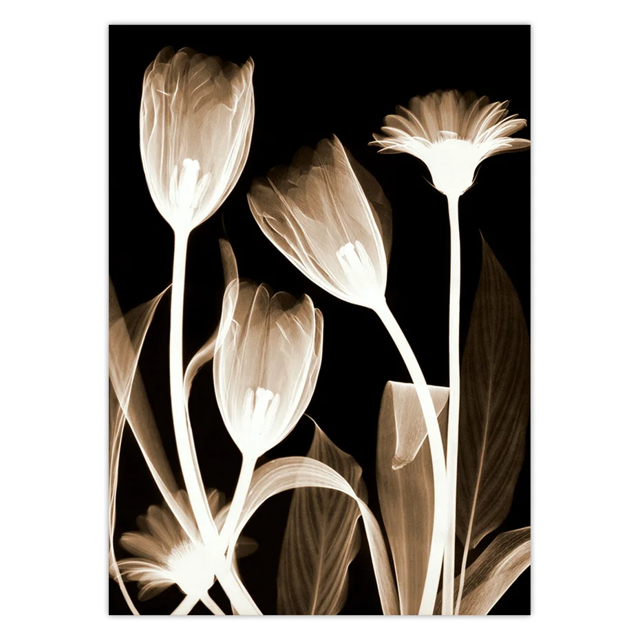color_opt_5