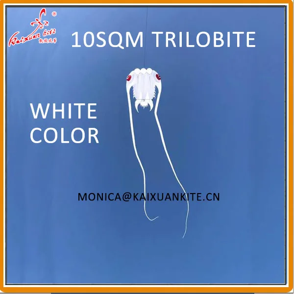 10sqm trilobite white color