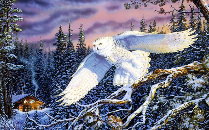 diy 5d diamond painting Snow Owl cross stitch round diamond kits diamond embroidery mosaic house decoration cube drill
diy 5d diamond painting Snow Owl cross stitch round diamond kits diamond embroidery mosaic house decoration cube drill