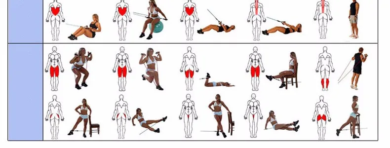 TB2YVaXcVXXXXajXXXXXXXXXXXX-57205798