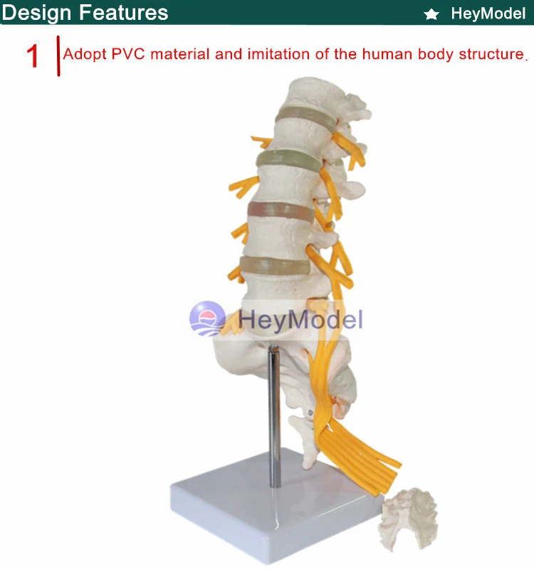 1.PVC_