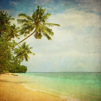 Vinyl Photography Backgrounds For Studio Photo Props Summer Beach Theme Scenic Photography
Vinyl Photography Backgrounds For Studio Photo Props Summer Beach Theme Scenic Photography