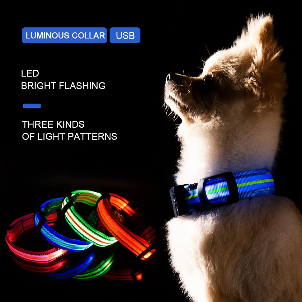 Safety LED Dog Collar – USB Rechargeable with Water Resistant Flashing Light Dogs Luminous Fluorescent Collars Pet Supplies
Safety LED Dog Collar – USB Rechargeable with Water Resistant Flashing Light Dogs Luminous Fluorescent Collars Pet Supplies
