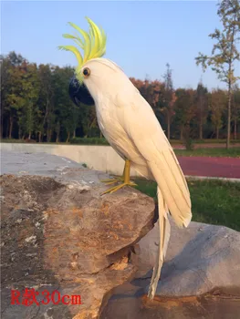 about 30cm white feathers parrot,Handmade model,foam&feathers cockatoo bird prop,garden decoration toy w0765
about 30cm white feathers parrot,Handmade model,foam&feathers cockatoo bird prop,garden decoration toy w0765