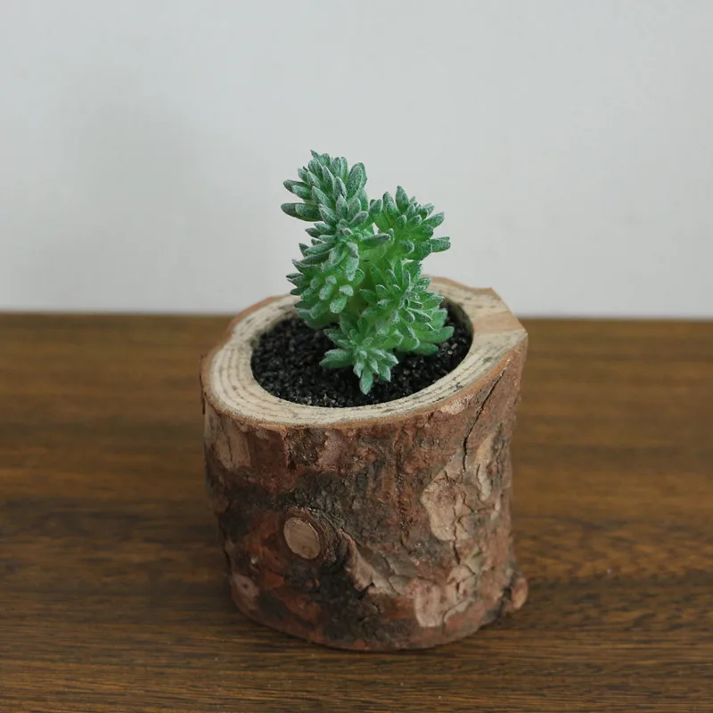 JAROWN Artificial Succulent Plants Potted Set Real Wooden Pile Flowerpot For Home Decoration Office Tabletop Decor (13)