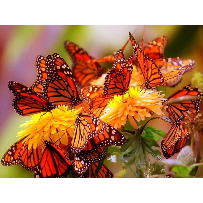 YIKEE diamond painting cat butterfly square rhinestones Home Decor Drill Resin DIY Mosaic Diamond Embroidery y1161
YIKEE diamond painting cat butterfly square rhinestones Home Decor Drill Resin DIY Mosaic Diamond Embroidery y1161