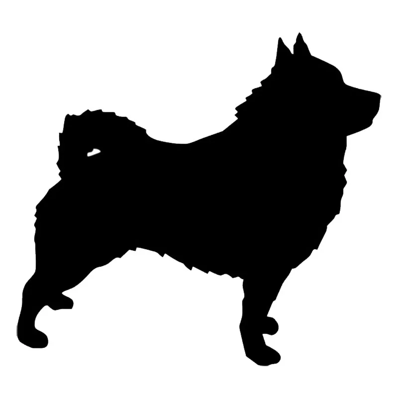 10,4*9,3 см Schipperke виниловая наклейка с принтом собаки модные креативные автомобильные наклейки, украшение для стайлинга автомобиля, черный/серебряный цвет
10,4*9,3 см Schipperke виниловая наклейка с принтом собаки модные креативные автомобильные наклейки, украшение для стайлинга автомобиля, черный/серебряный цвет
