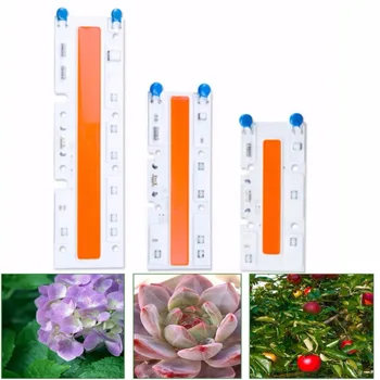 Smart IC Light Lamp Growing Lamps Growing Lights Grow LED Lights Full Spectrum Plant Grow Light White Chips 220/110V
Smart IC Light Lamp Growing Lamps Growing Lights Grow LED Lights Full Spectrum Plant Grow Light White Chips 220/110V