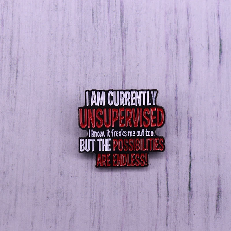 I am currently unsupervised know but the possibilities are endless cartoon funny metal pin Rare New Big enamel Pin | Украшения и