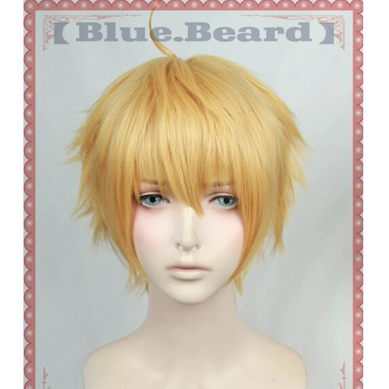 Fate/Stay Night Grand Order Fate/Prototype Saber Golden Short Wig Cosplay Halloween Role Play Hair + Wig Cap
Fate/Stay Night Grand Order Fate/Prototype Saber Golden Short Wig Cosplay Halloween Role Play Hair + Wig Cap