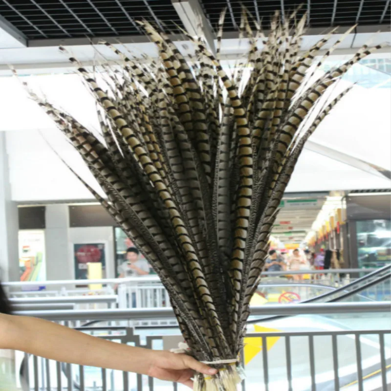 Hot sell 10pcs/lot beautiful Natural Lady Amherst Pheasant Tail Feathers 100-110cm/40-44inches Carnival Costume Party Decor
Hot sell 10pcs/lot beautiful Natural Lady Amherst Pheasant Tail Feathers 100-110cm/40-44inches Carnival Costume Party Decor