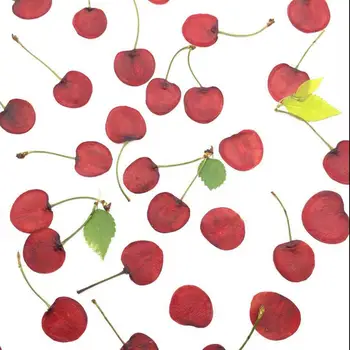 20pcs Dried Pressed 1.5-2cm Fruit Cherry Slices Plant Herbarium For Jewelry Photo Frame Phone Case Craft DIY Making Accessories
20pcs Dried Pressed 1.5-2cm Fruit Cherry Slices Plant Herbarium For Jewelry Photo Frame Phone Case Craft DIY Making Accessories