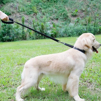 Pet Dog Leash Rope for Large Dog Nylon Anti Shock Buffer Leashes with Holder Elastic Dog Outdoor Walking Rope with Buckle
Pet Dog Leash Rope for Large Dog Nylon Anti Shock Buffer Leashes with Holder Elastic Dog Outdoor Walking Rope with Buckle