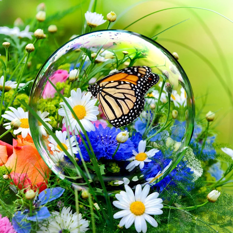Bubble Butterflies And Daisies Picture Full Round Diamond Mosaic DIY 5D Diamond Painting Needlework Cross-Stitch Kit Home Decor
Bubble Butterflies And Daisies Picture Full Round Diamond Mosaic DIY 5D Diamond Painting Needlework Cross-Stitch Kit Home Decor