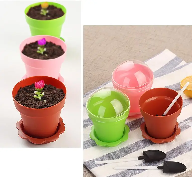 Flower Pot Cake Cups & Spoon Set Ice Cream ecoration for Wedding Kids Birthday Party Supplies Baking Pastry Tools SN1804
Flower Pot Cake Cups & Spoon Set Ice Cream ecoration for Wedding Kids Birthday Party Supplies Baking Pastry Tools SN1804