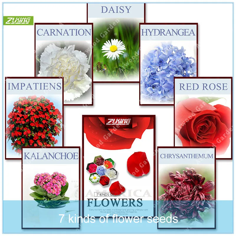 ZLKING 310pcs Mixed packaging flowers Bonsai Fragrant Popular Perennial Plants Rare Flower Mix Indoor Home Garden
ZLKING 310pcs Mixed packaging flowers Bonsai Fragrant Popular Perennial Plants Rare Flower Mix Indoor Home Garden