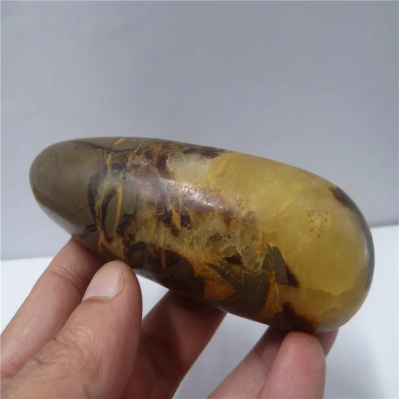 Natural Septarian Massage Wand Polished Dragon Stone Crystal Healing Reiki Metaphysical Powerful Meditation T839
Natural Septarian Massage Wand Polished Dragon Stone Crystal Healing Reiki Metaphysical Powerful Meditation T839