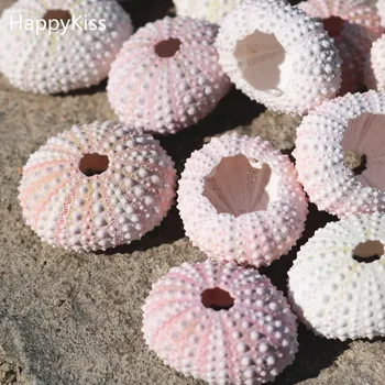 3pcs/lot Natural Small Pink Sea Urchin Natural Shell Conch Beach Wedding Decoration Coastal Home Decoration sea conch
3pcs/lot Natural Small Pink Sea Urchin Natural Shell Conch Beach Wedding Decoration Coastal Home Decoration sea conch