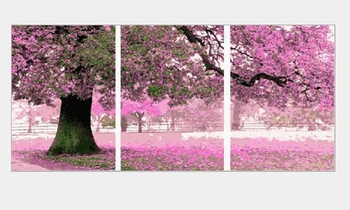 Cuadros decoracion Wall pictures for living room vintage home decor picture painting by numbers Triptych canvas painting H481
Cuadros decoracion Wall pictures for living room vintage home decor picture painting by numbers Triptych canvas painting H481