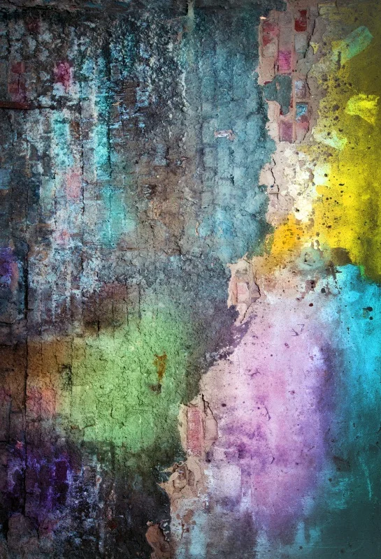 Laeacco Old Painted Brick Wall Portrait Grunge Photography Backgrounds Customized Photographic Backdrops For Photo Studio
Laeacco Old Painted Brick Wall Portrait Grunge Photography Backgrounds Customized Photographic Backdrops For Photo Studio