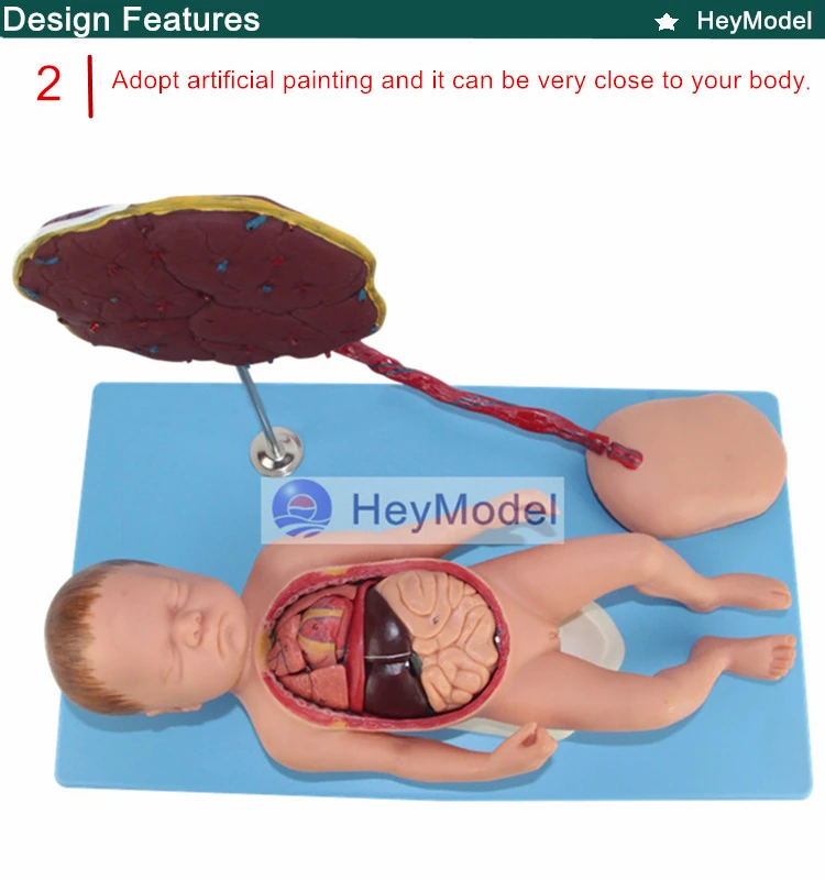 2. _