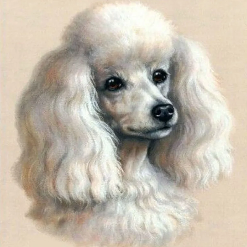 Full diamond embroidery Cute poodle home decor,5d diamond painting cross stitch fashion diamond mosaic pictures of rhinestones
Full diamond embroidery Cute poodle home decor,5d diamond painting cross stitch fashion diamond mosaic pictures of rhinestones