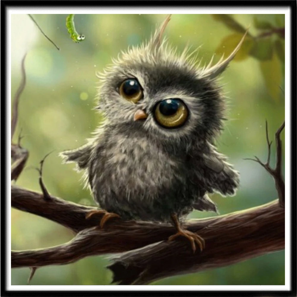Owl Animal Diamond Painting Embroidery Square Picture Diamond Painting Mosaic Rhinestone DIY Diamond Home Decor
Owl Animal Diamond Painting Embroidery Square Picture Diamond Painting Mosaic Rhinestone DIY Diamond Home Decor