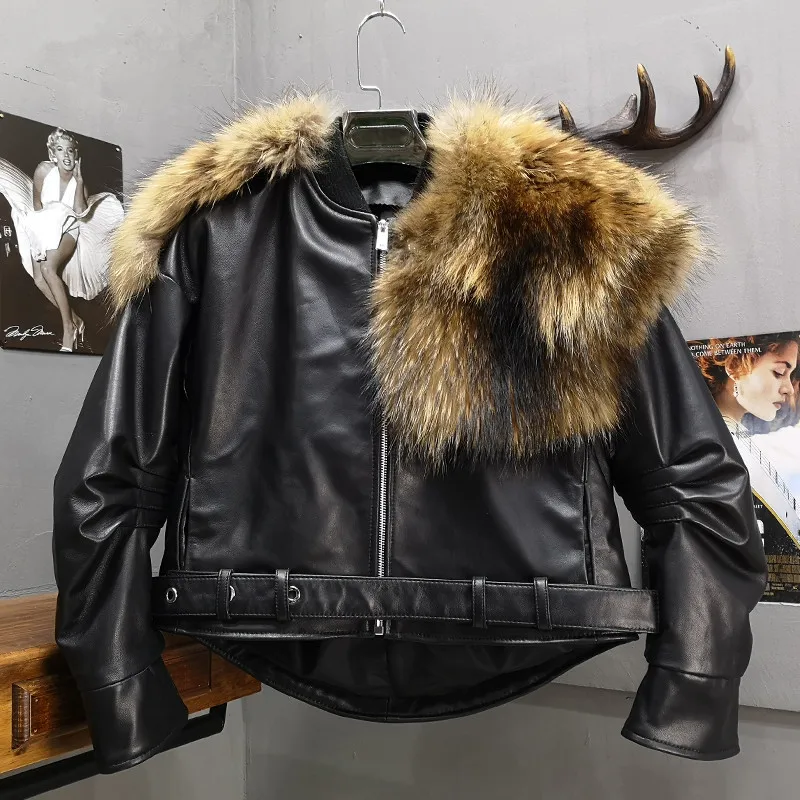 Winter 2019 Warm Thickened Natural Sheepskin Cool Girl Coat Motorcycle Biker Women's Fur Coat With Huge Real Raccoon Fur Collar
Winter 2019 Warm Thickened Natural Sheepskin Cool Girl Coat Motorcycle Biker Women's Fur Coat With Huge Real Raccoon Fur Collar