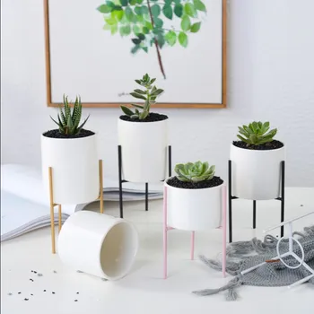 Nordic White Ceramic Vases Iron Art Vase Minimalism Flower Vases Home Decoration Plant Flowerpot For Coffeehouse Ornaments Gift
Nordic White Ceramic Vases Iron Art Vase Minimalism Flower Vases Home Decoration Plant Flowerpot For Coffeehouse Ornaments Gift