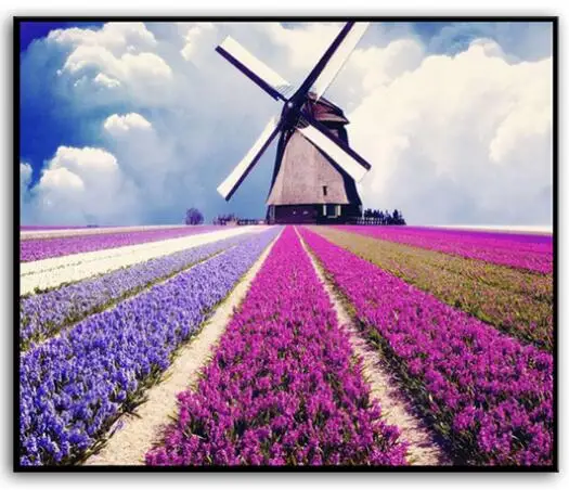 Needlework,DIY DMC Cross stitch,Set For full embroidery kit,lavender garden flowers Print Patterns Cross-Stitch kits home decor
Needlework,DIY DMC Cross stitch,Set For full embroidery kit,lavender garden flowers Print Patterns Cross-Stitch kits home decor