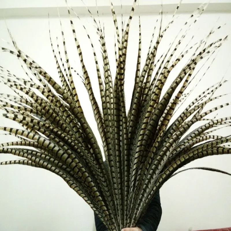 wholesale 10pcs natural Lady Amherst's Pheasant feathers wedding Decoration 10-120cm/4-48inch Carnival Stage performance
wholesale 10pcs natural Lady Amherst's Pheasant feathers wedding Decoration 10-120cm/4-48inch Carnival Stage performance