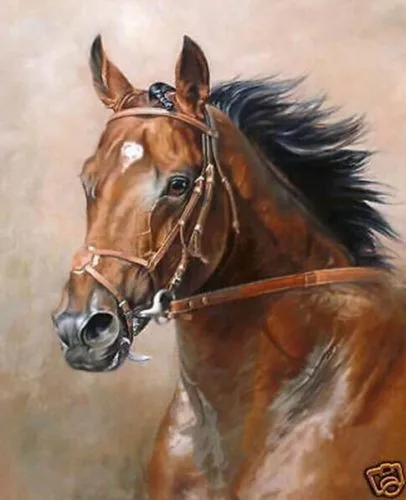 24X36inch Современный абстрактный огромный холст Искусство Ручная картина маслом лошадь
24X36inch Современный абстрактный огромный холст Искусство Ручная картина маслом лошадь